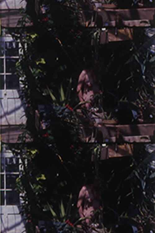 Adam Went On To Till the Soil... But What Happened to Eve? (1989) poster