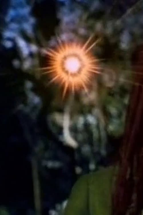 Hinekaro Goes on a Picnic and Blows Up Another Obelisk (1994) poster