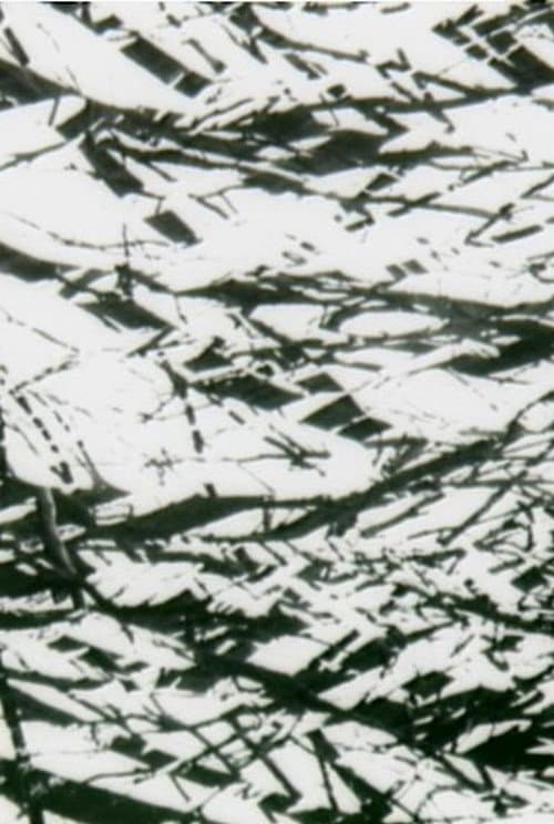 Tree Lines (2009) poster