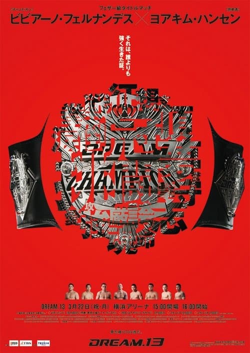 DREAM.13 (2010) poster