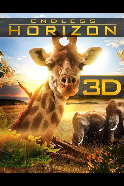 Endloser Horizont - Afrika 3D (2013) poster
