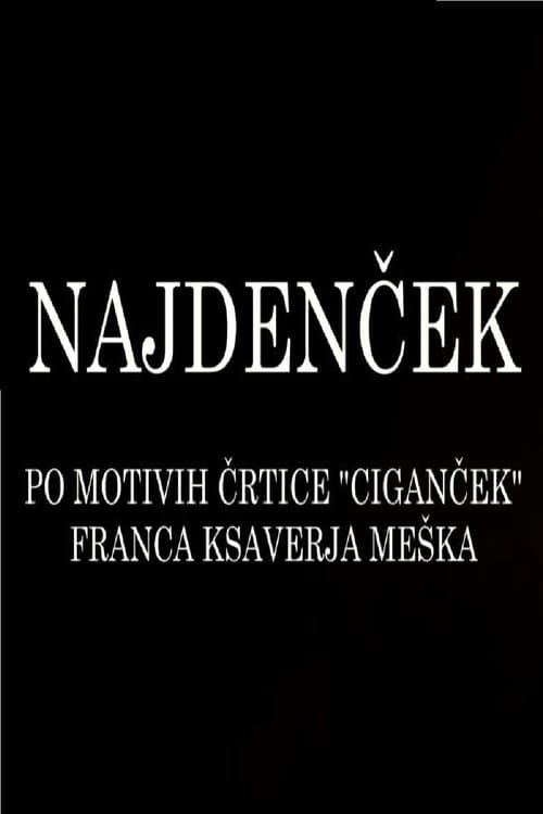 Najdenček (2011) poster