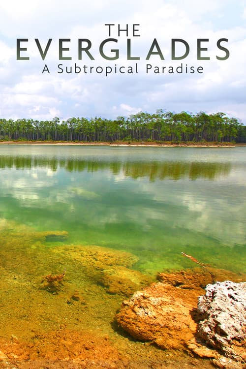 National Parks Exploration Series: The Everglades (2011) poster