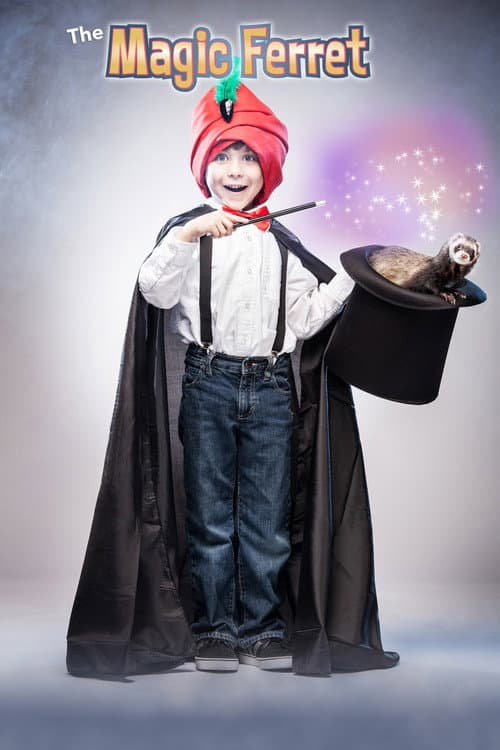 The Magic Ferret (2013) poster
