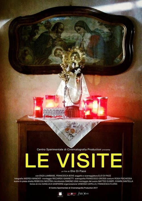 Le visite (2017) poster