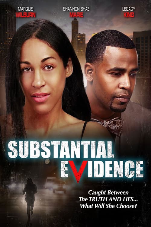 Substantial Evidence (2023) poster