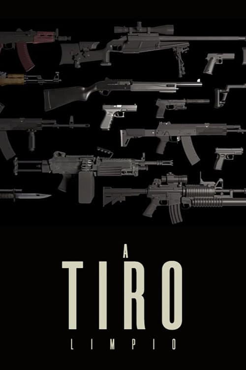 A tiro limpio (2013) poster