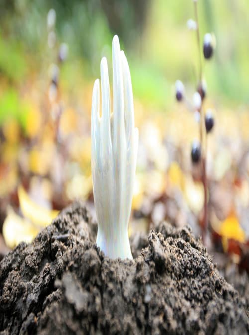 Regeneration (2009) poster