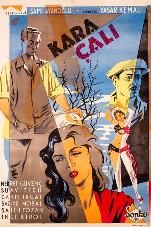Kara Çalı (1956) poster