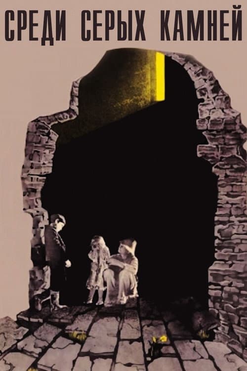 Среди серых камней (1983) poster