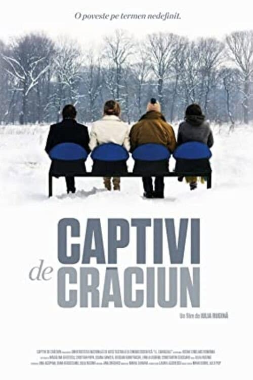 Captivi de Crăciun (2010) poster