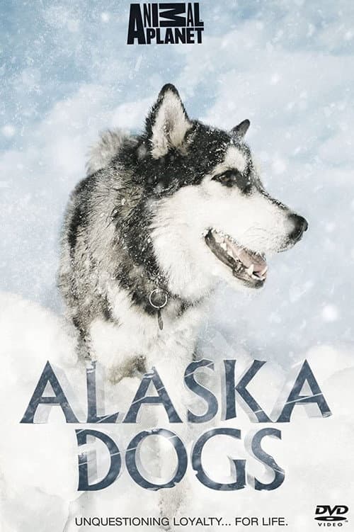 Alaska Dogs (2009) poster