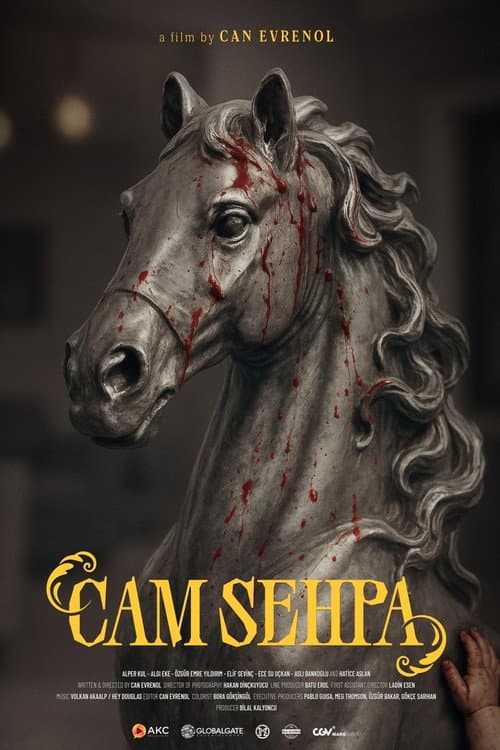 Cam Sehpa (2026) poster