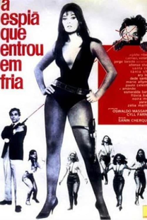 A Espiã que Entrou em Fria (1967) poster