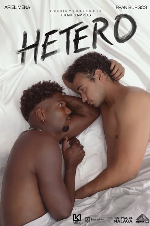 Hetero (2026) poster