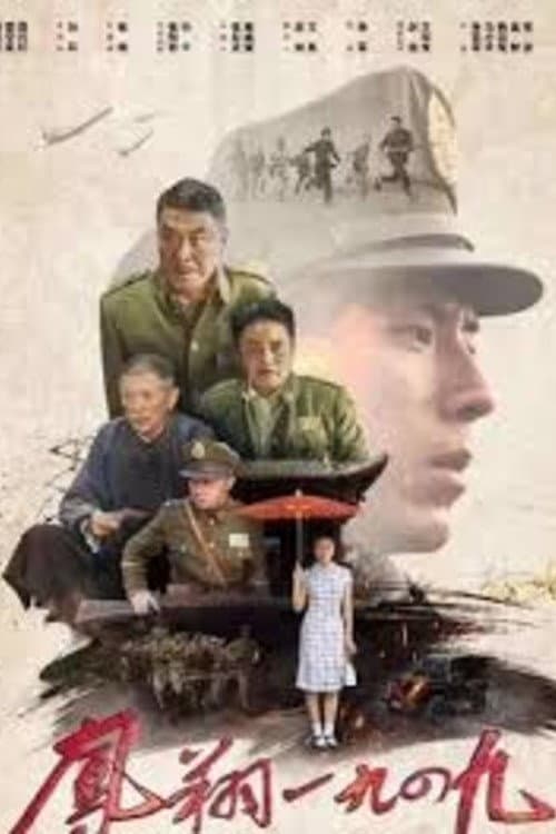 凤翔1949 (2020) poster
