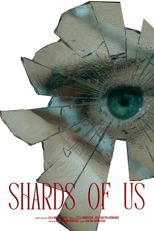 Shards of Us (2025) poster
