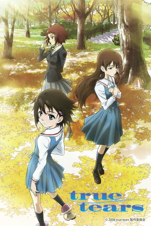 true tears (2008) poster