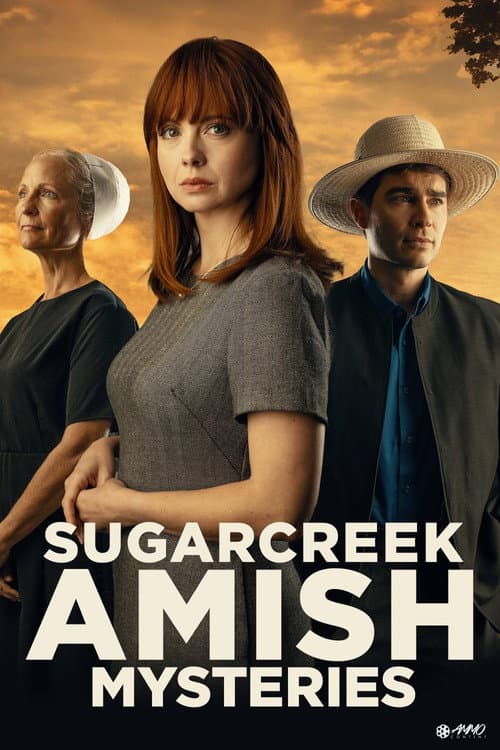 Sugarcreek Amish Mysteries: Blessings in Disguise (2025) poster