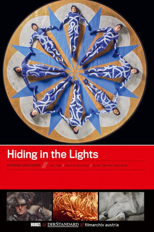 Hiding in the Lights (2013) poster