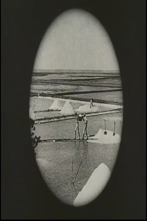 Voyage au Brésil (1927) poster