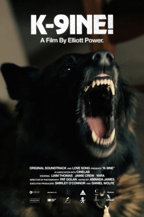 K-9INE! (2025) poster