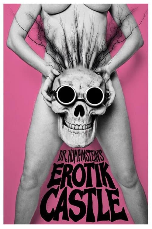 Dr. Humpinstein's Erotik Castle (2011) poster
