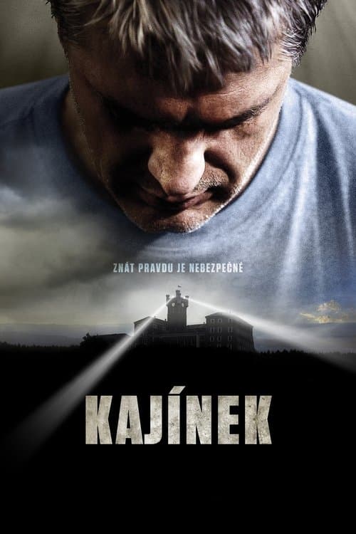 Kajínek (2010) poster