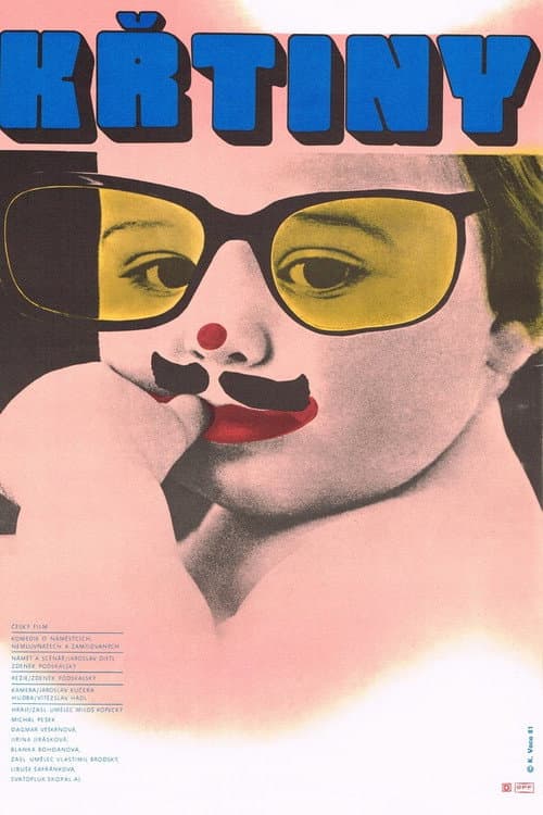 Křtiny (1981) poster