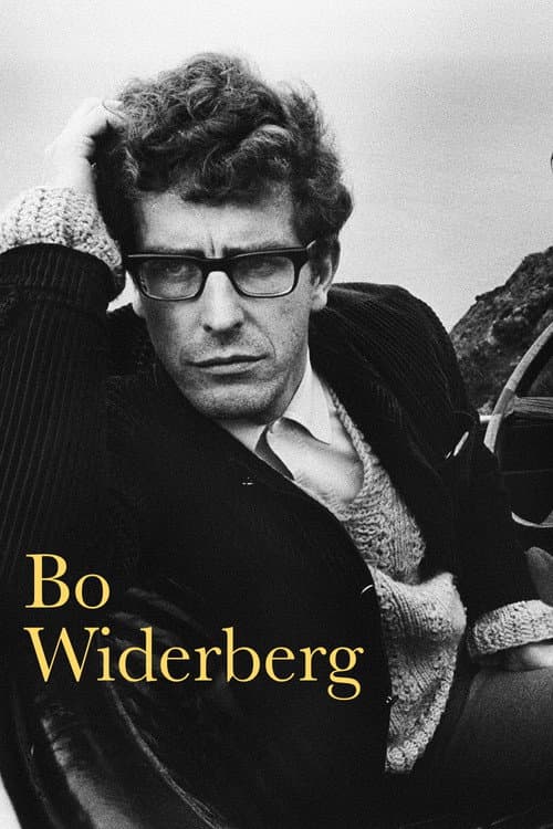 Bo Widerberg (1977) poster