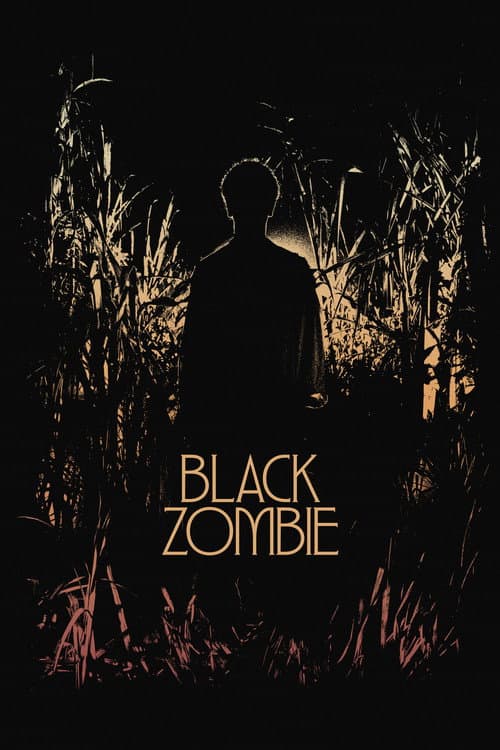 Black Zombie (2026) poster