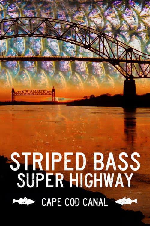 Striped Bass Super Highway: Cape Cod Canal (2020) poster