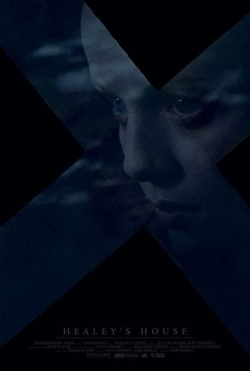 Healey's House (2014) poster