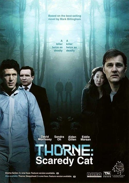 Thorne: Scaredycat (2010) poster