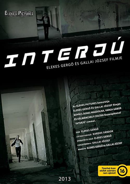 Interjú (2013) poster