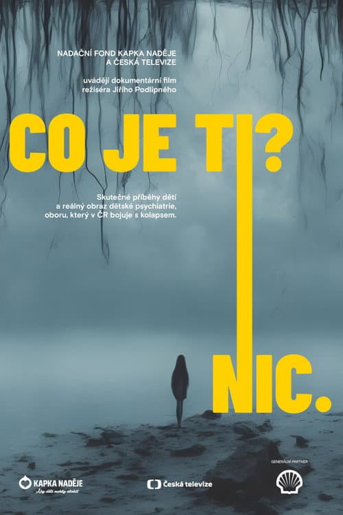Co je ti? Nic. (2023) poster