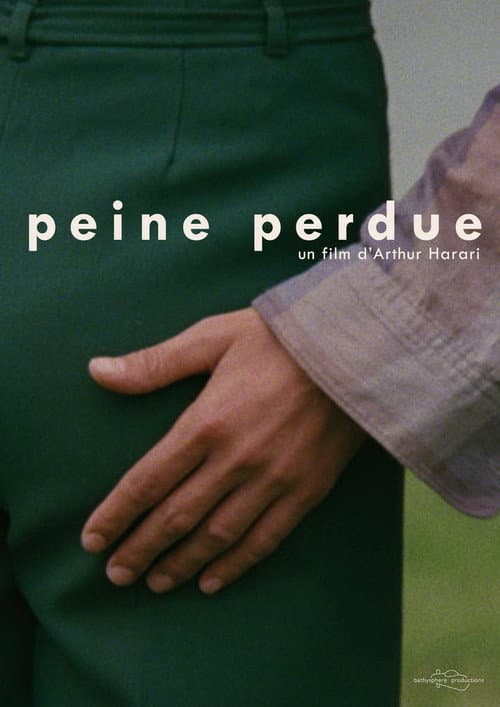 Peine perdue (2013) poster