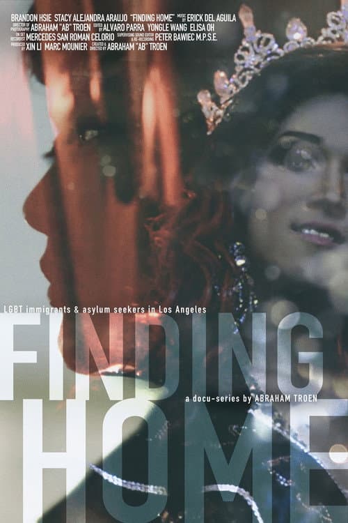 The Finding Home Series (2017) poster