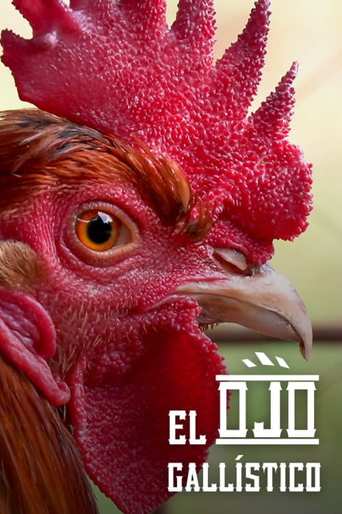 El Ojo Gallístico (2022) poster