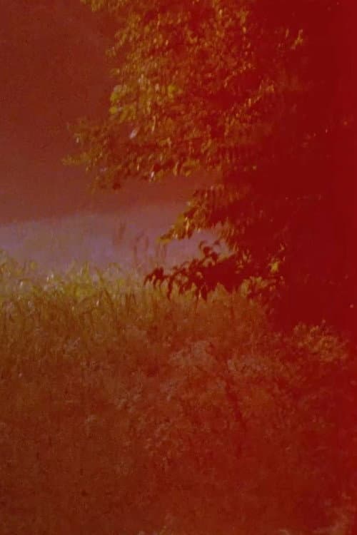 Bardo Landscape (2020) poster