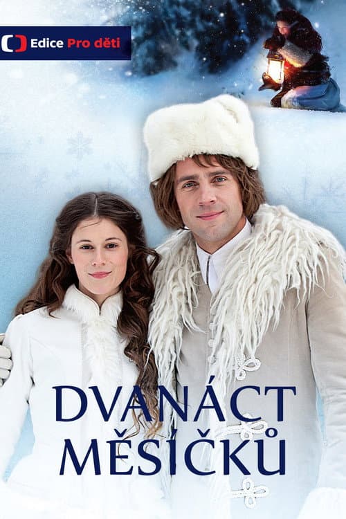 Marie en de 12 maanden (2013) poster