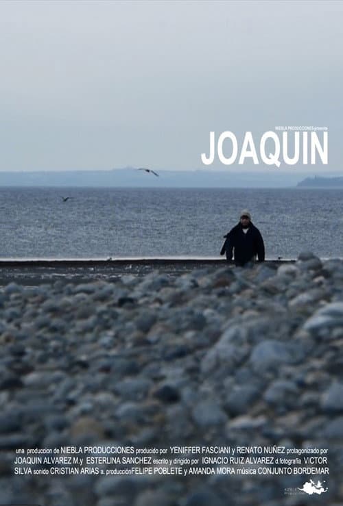 Joaquín (2011) poster