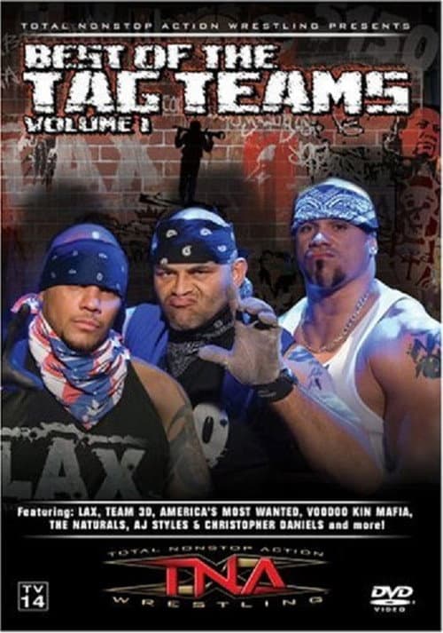 TNA Wrestling: Best of Tag Teams, Volume 1 (2007) poster