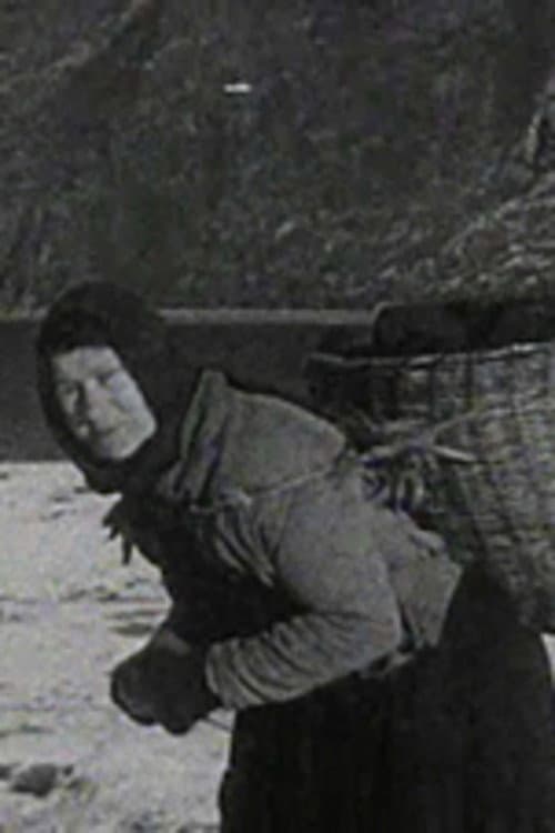 A Crofter's Life in the Shetlands (1931) poster