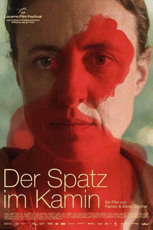 Der Spatz im Kamin (2024) poster