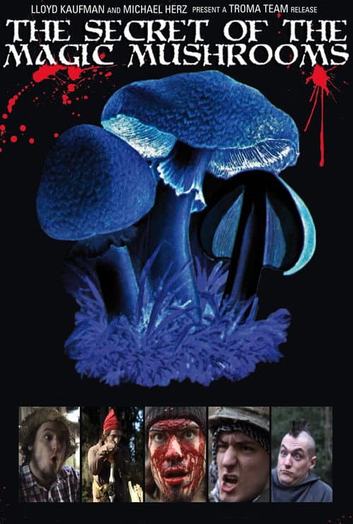 Das Geheimnis der Zauberpilze (2009) poster