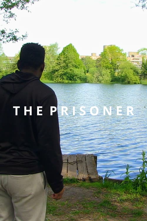 The Prisoner (2026) poster