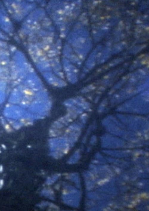 Em Setembro (2010) poster
