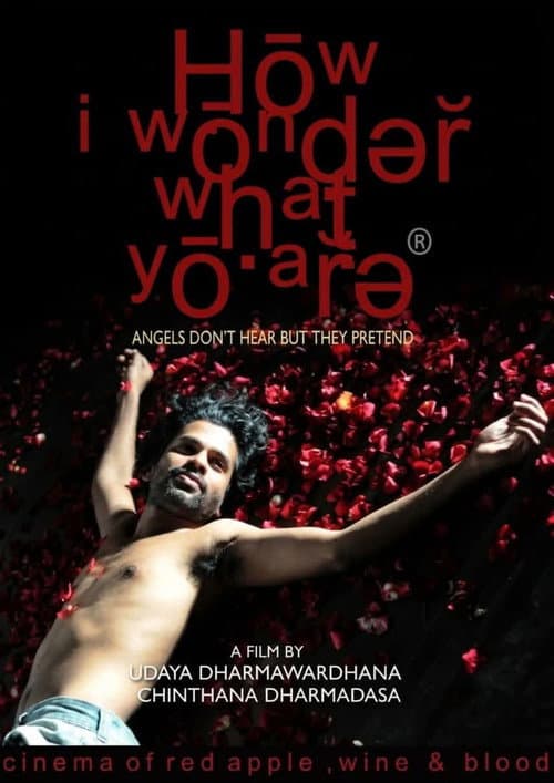 How I Wonder What You Are (2010) poster