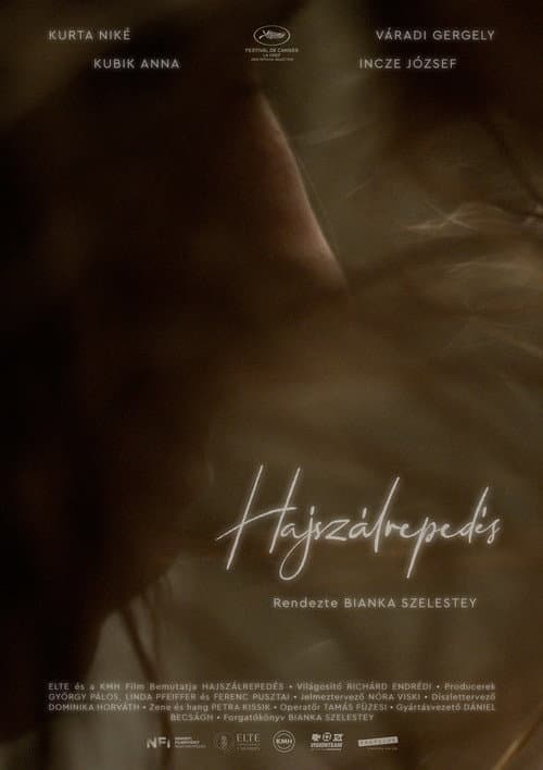 Hajszálrepedés (2022) poster